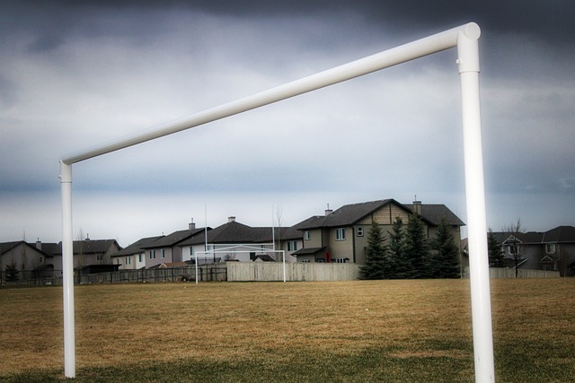 为火箭队的 为火箭队的