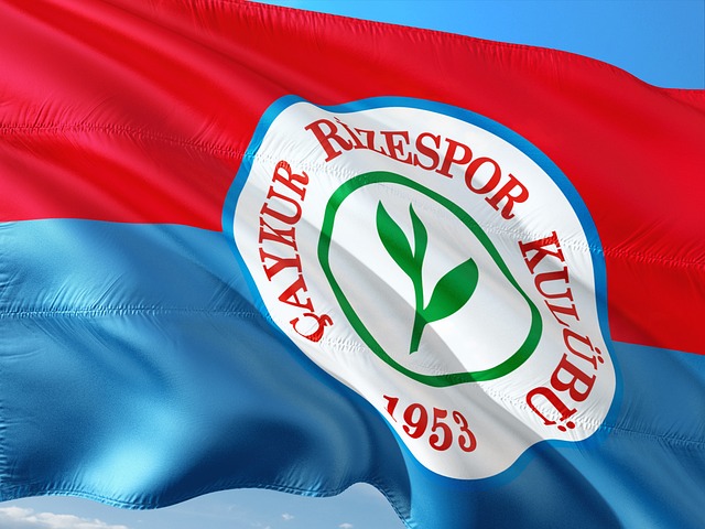 逆转精神 逆转精神