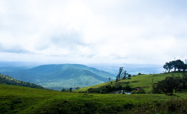 轉會市場的 轉會市場的