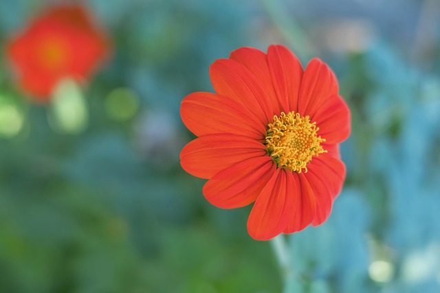 在人员配置 在人员配置