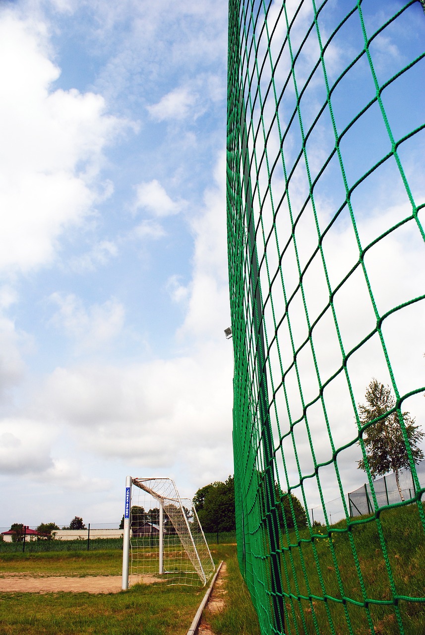 阵容亮点 阵容亮点